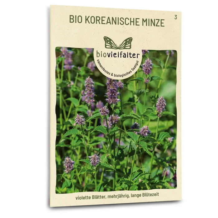 Bio-Koreanische Minze