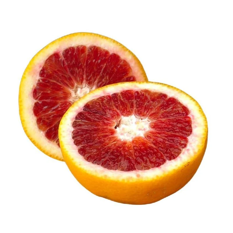 Blood Orange Seeds for Planting – Grow Sweet & Juicy Red-Fleshed Oranges