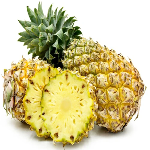 Brecheche Pineapple Seeds for Planting – Grow Sweet & Hardy Tropical Pineapples