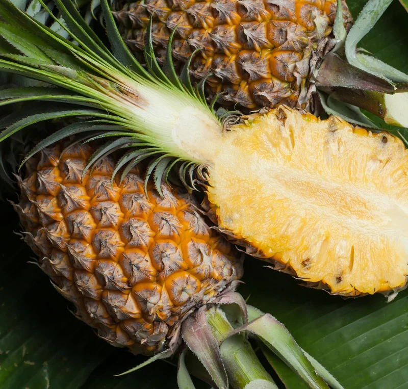 MD-2 Golden Pineapple Seeds for Planting – Grow Sweet & Juicy Tropical Pineapples