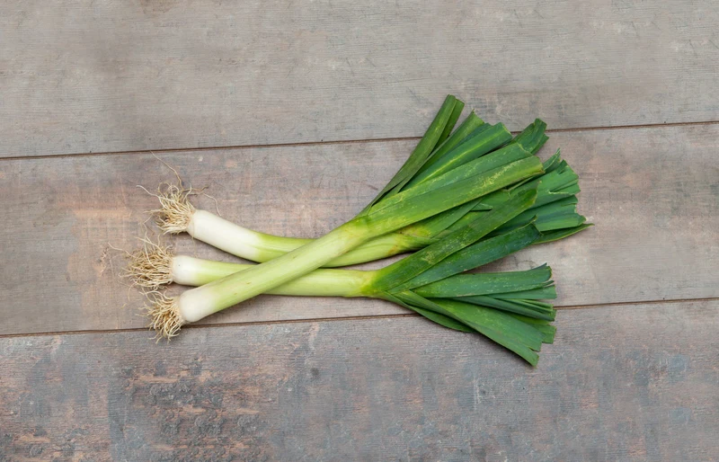 Bio-Lauch 'St. Victor'