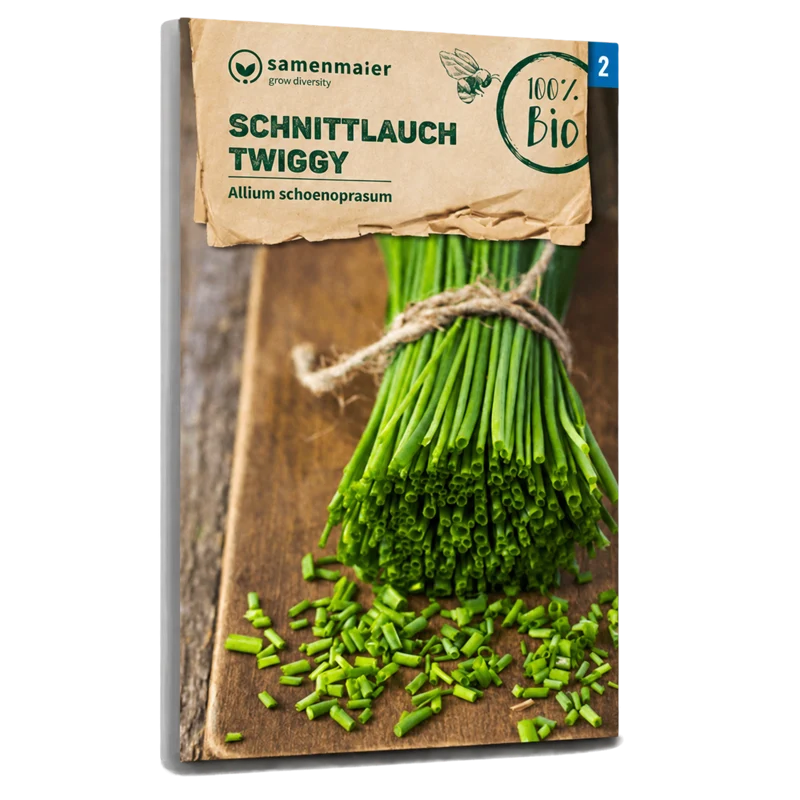 Bio-Schnittlauch 'Twiggy'