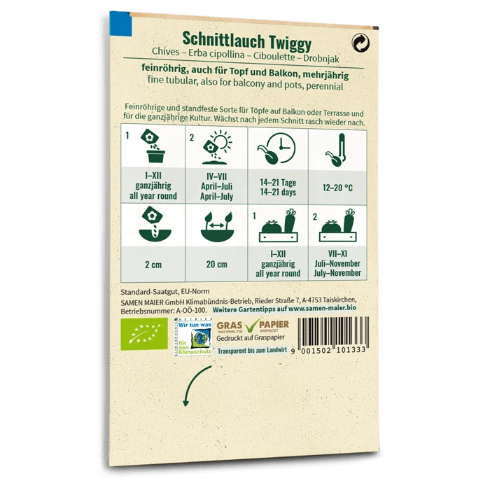 Bio-Schnittlauch 'Twiggy'