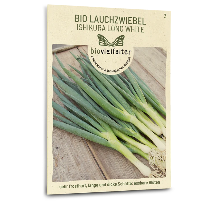 Bio-Lauchzwiebel 'Ishikura Long White'