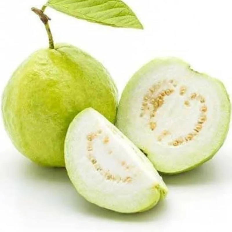 Beaumont Guava Seeds – Sweet & Aromatic Tropical Fruit for Planting