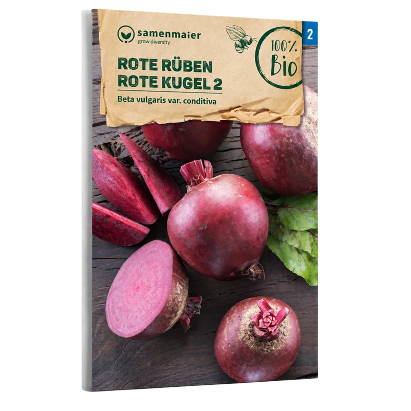 Bio-Rote Beete 'Rote Kugel 2'