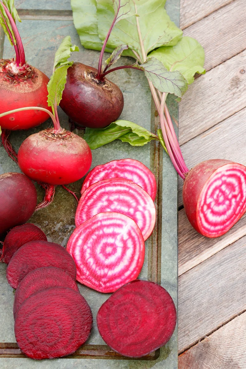 Bio-Rote Beete 'Chioggia'