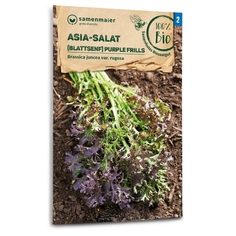 Bio-Asia-Salat 'Purple Frills'