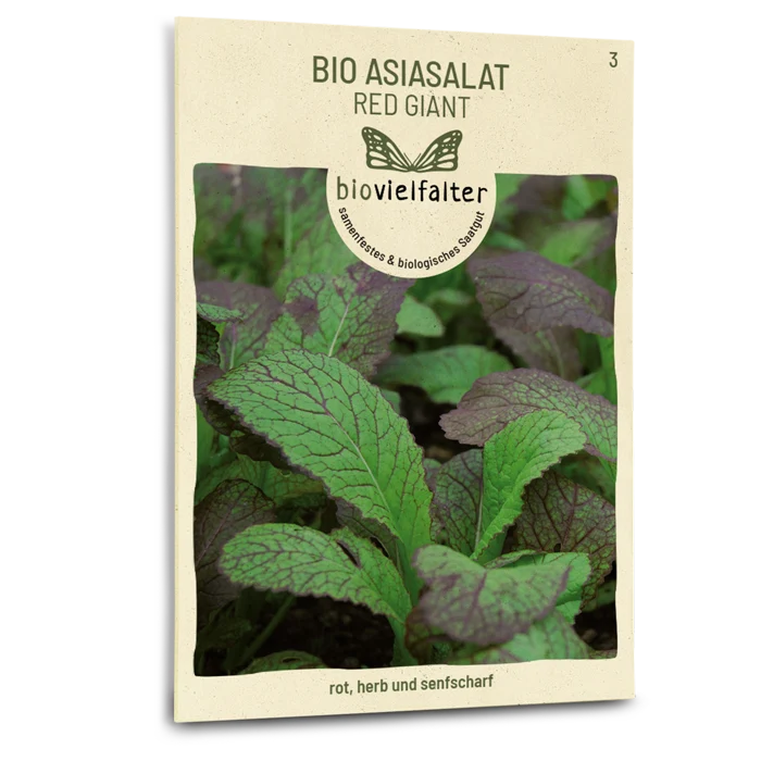 Bio-Asia-Salat 'Red Giant'