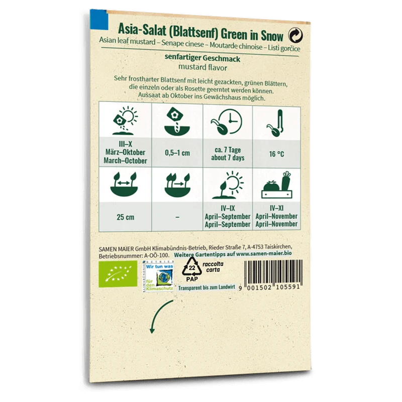 Bio-Asia-Salat 'Green in Snow'