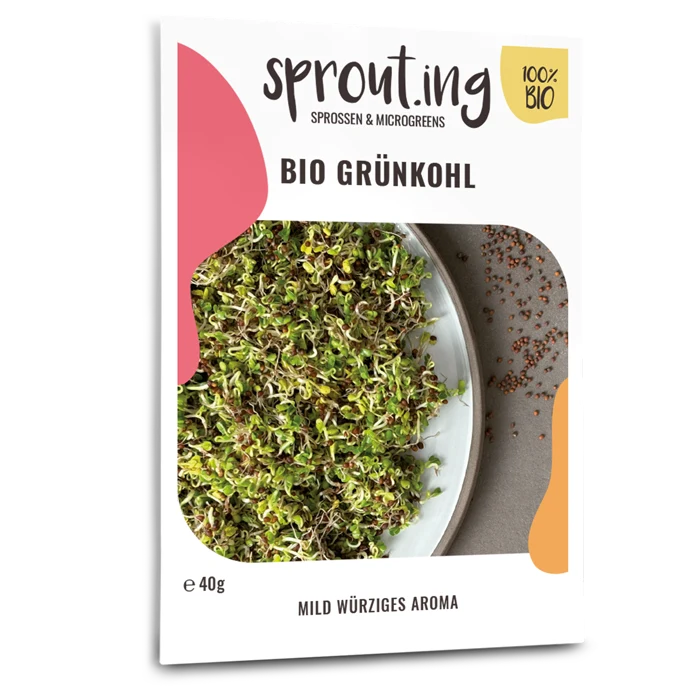 Bio-Grünkohl Sprossen