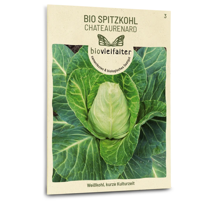 Bio-Spitzkohl 'Chateaurenard'