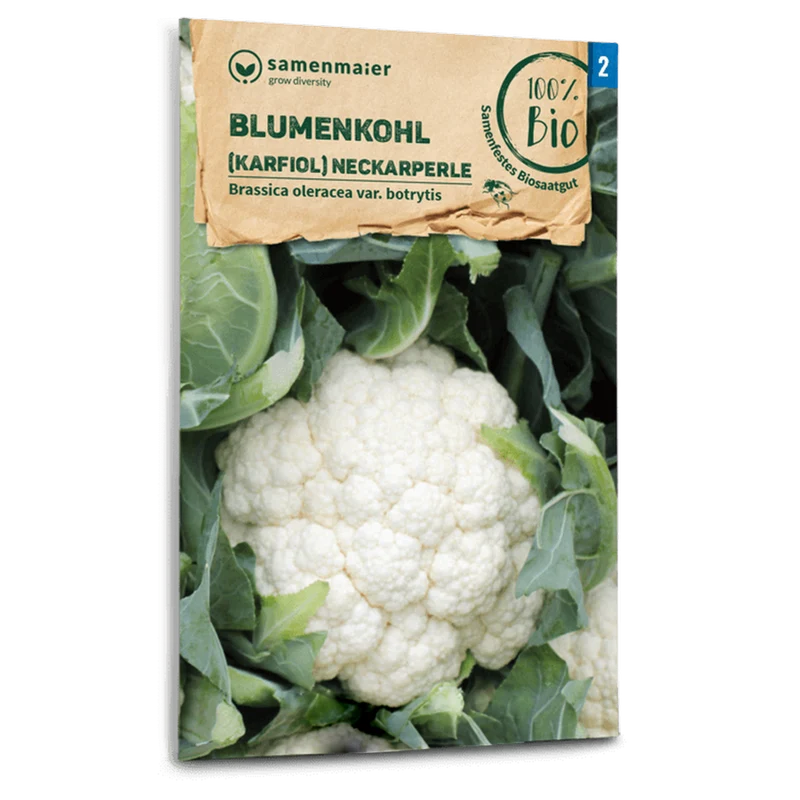 Bio-Blumenkohl 'Neckarperle'