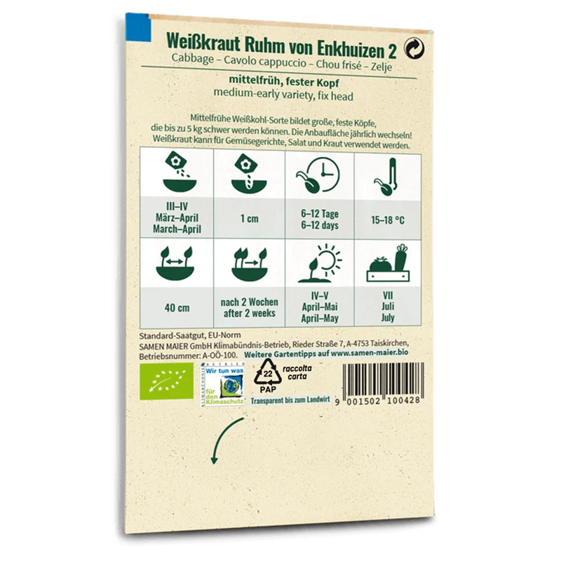 Bio-Weißkohl 'Ruhm von Enkhuizen 2'
