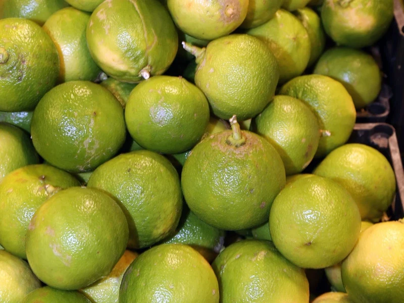 Bergamot Orange Seeds for Planting – Grow Fragrant & Flavorful Citrus for Tea & Perfume