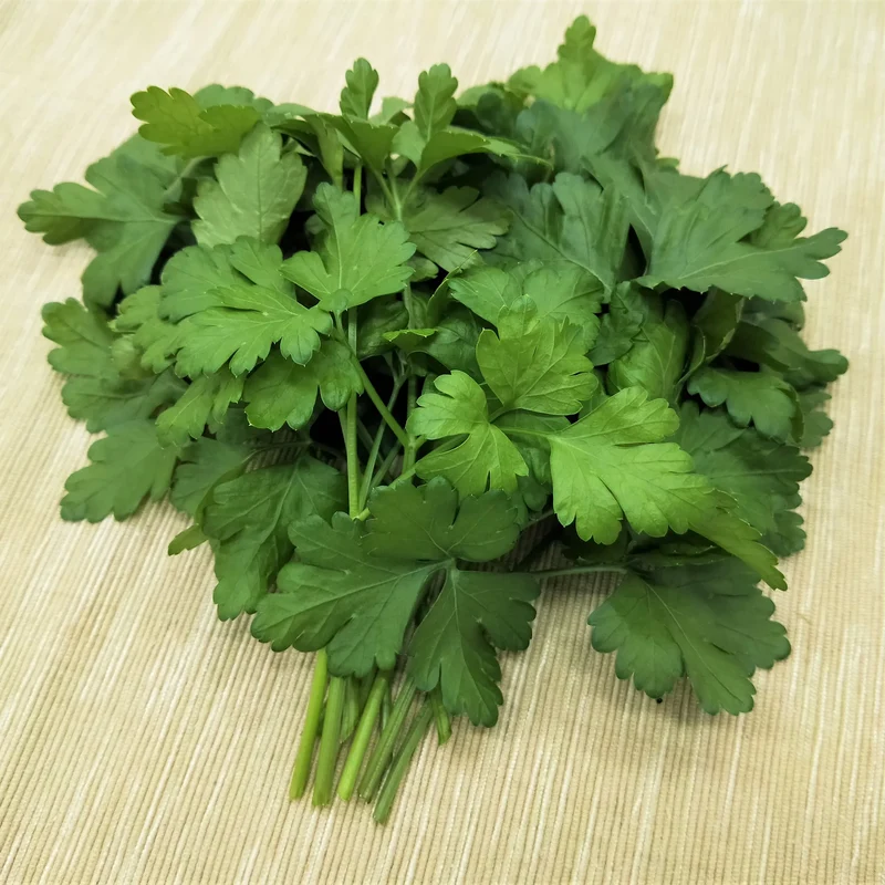 Italian Flat-Leaf Parsley Seeds – Heirloom, Non-GMO, Premium Culinary Herb