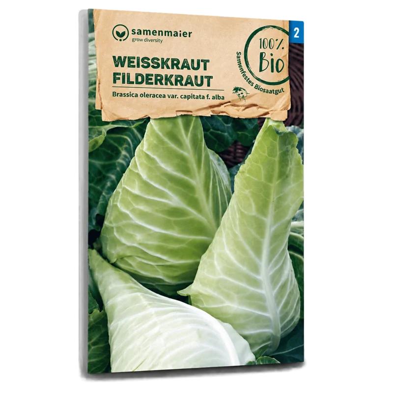 Bio-Weißkohl 'Filderkraut' Spät