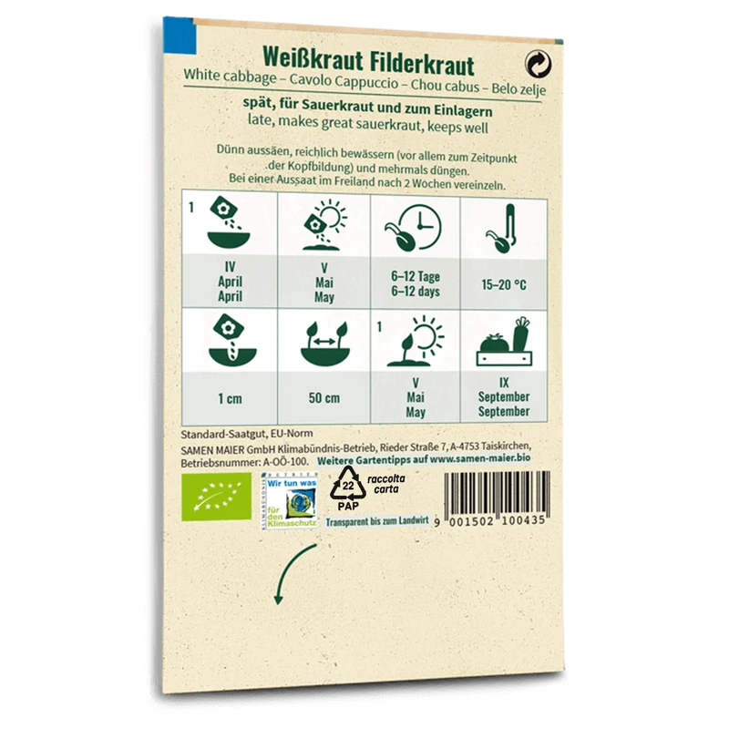 Bio-Weißkohl 'Filderkraut' Spät