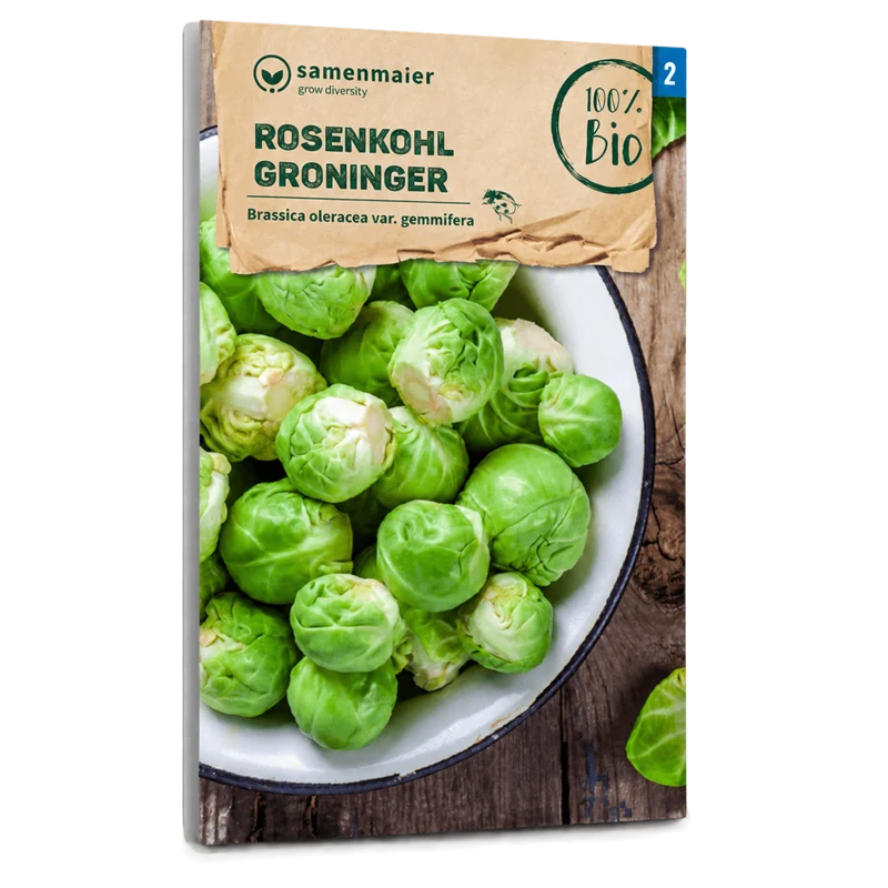 Bio-Rosenkohl 'Groninger'