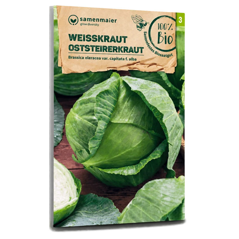 Bio-Weißkohl 'Oststeirerkraut'