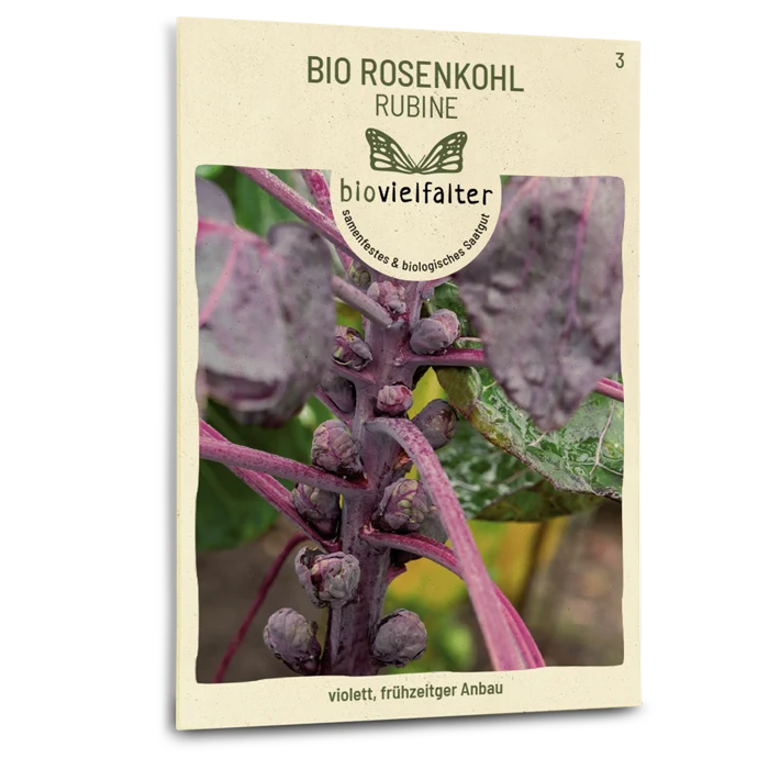 Bio-Rosenkohl 'Rubine'