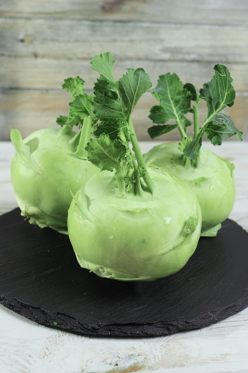 Bio-Kohlrabi 'Superschmelz'