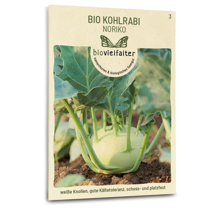 Bio-Kohlrabi 'Noriko'