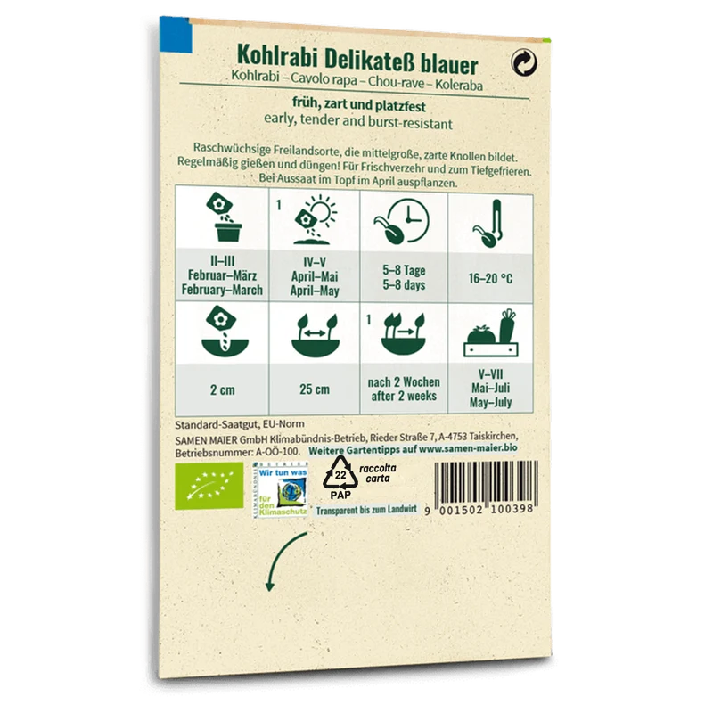 Bio-Kohlrabi 'Blauer Delikatess' Früh