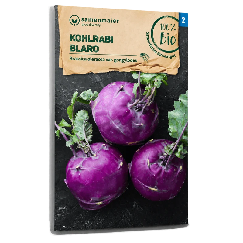 Bio-Kohlrabi 'Blaro'