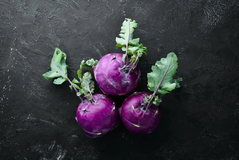 Bio-Kohlrabi 'Blaro'