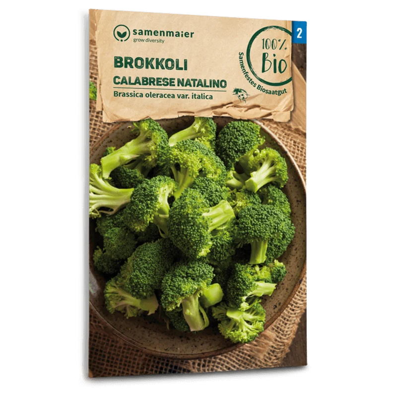 Bio-Brokkoli 'Calabrese natalino'