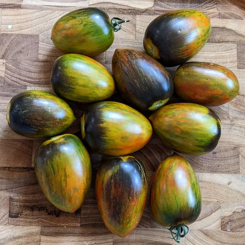 Brad’s Atomic Grape Tomato Seeds – Heirloom, Colorful, Sweet & Juicy