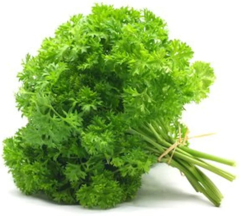 Frisée Parsley Seeds – Premium Quality, Non-GMO, Organic Herb for Fresh & Flavorful Gardening