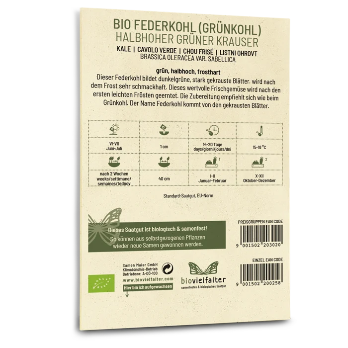 Bio-Grünkohl 'Halbhoher Grüner Krauser'