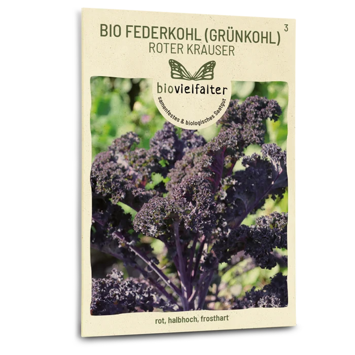 Bio-Grünkohl 'Roter Krauser'