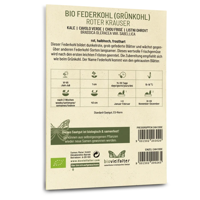 Bio-Grünkohl 'Roter Krauser'