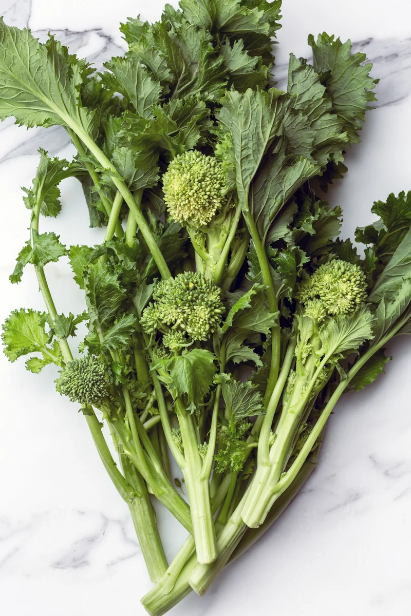 Bio-Stängelkohl 'Cima di rapa'
