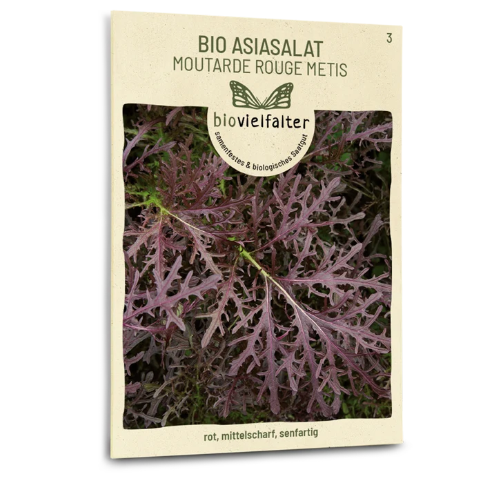 Bio-Asia-Salat 'Moutarde rouge metis'
