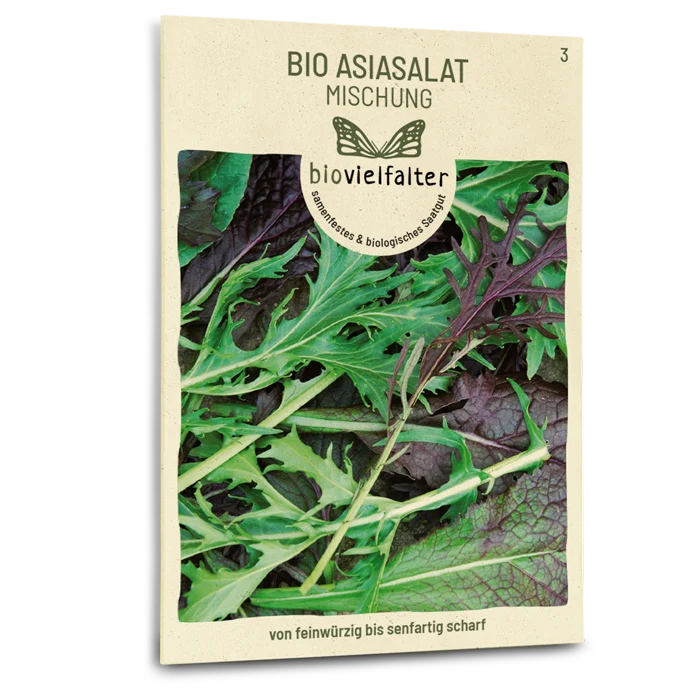 Bio-Asia-Salat Mischung