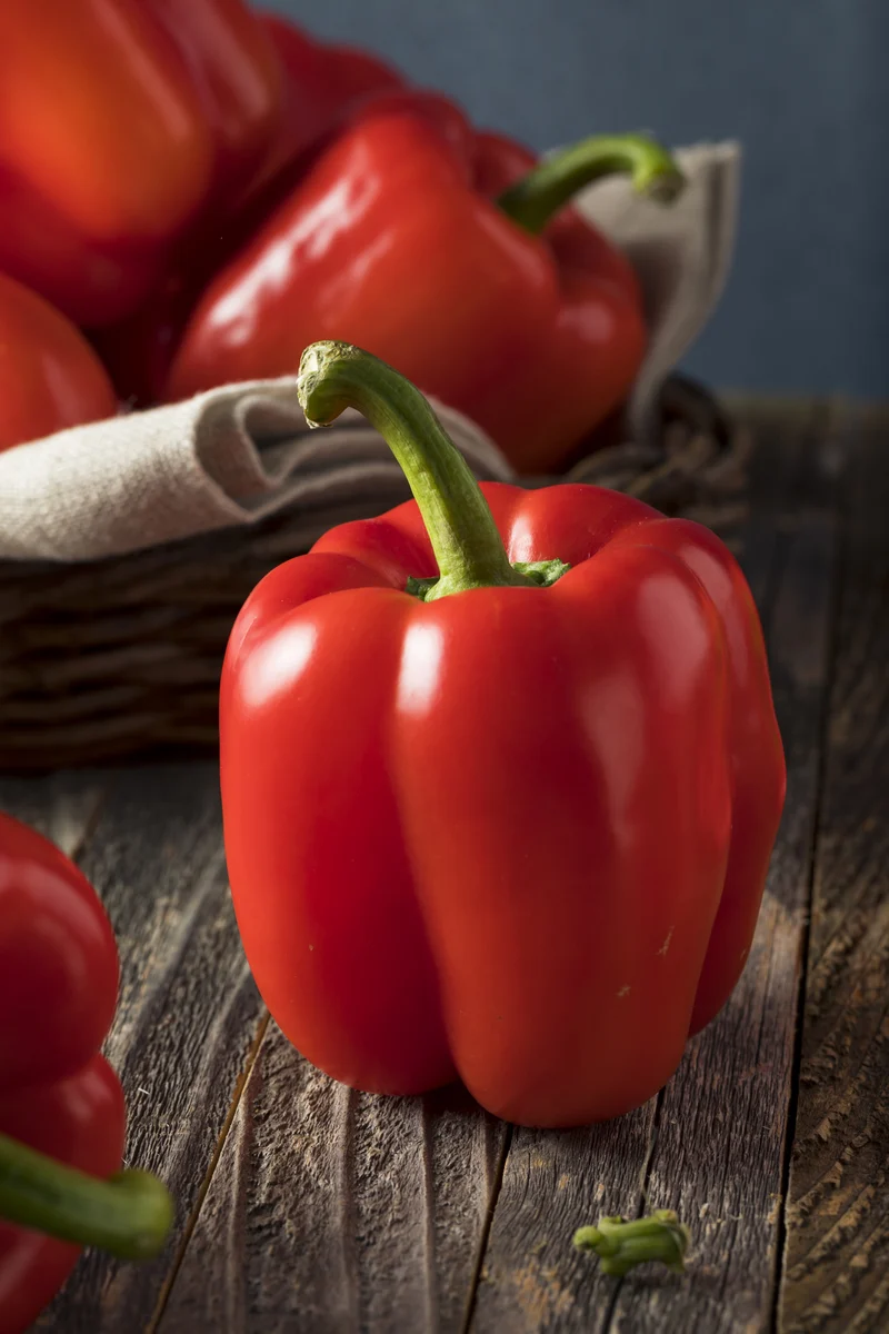 Bio-Paprika 'Yolo Wonder'