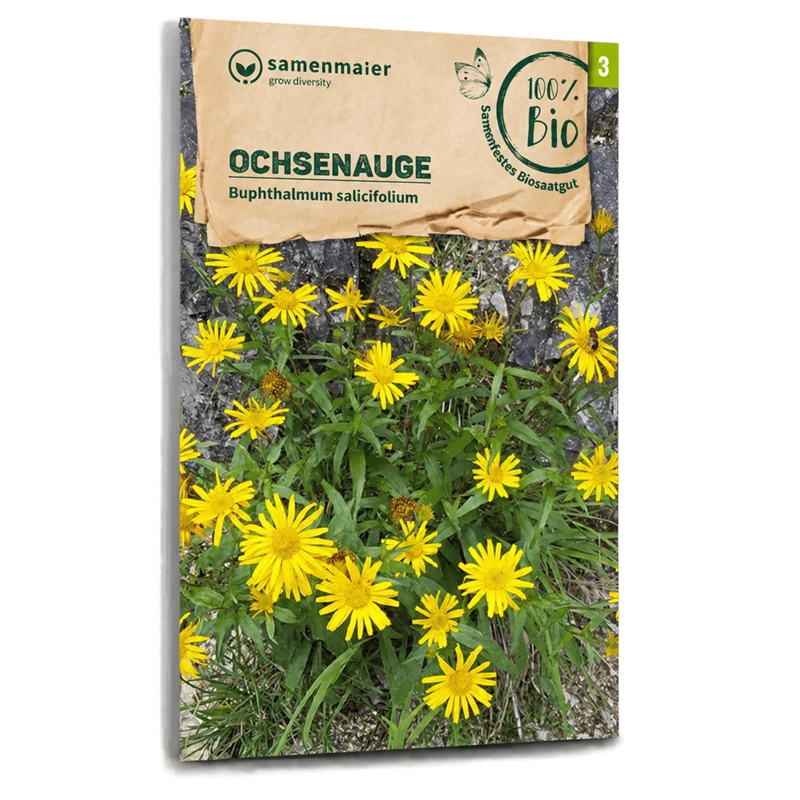 Bio-Ochsenauge Wildblume