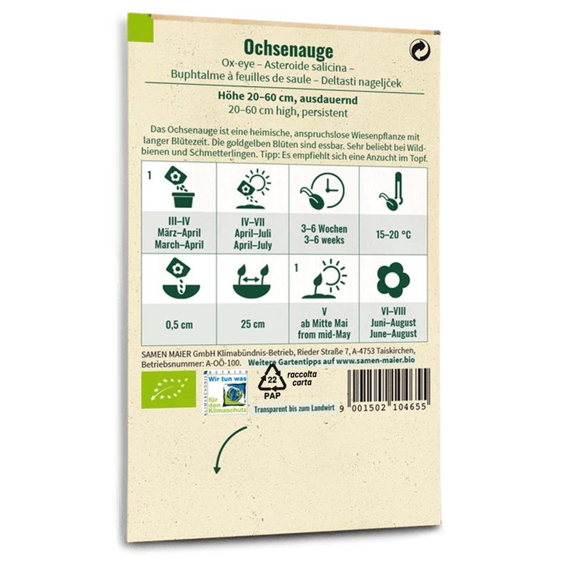 Bio-Ochsenauge Wildblume