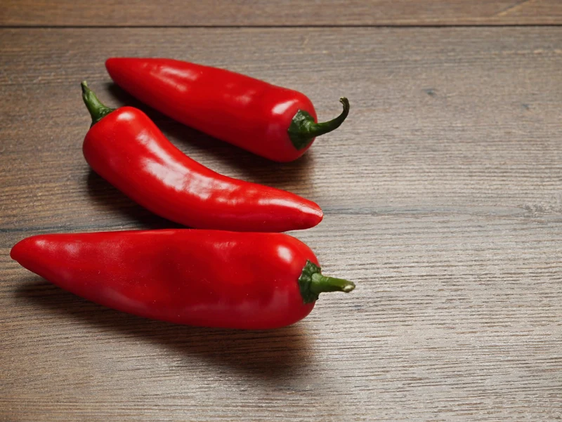 Bio-Chili 'Gorria'