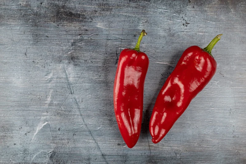 Bio-Paprika 'Corno di bue rosso'