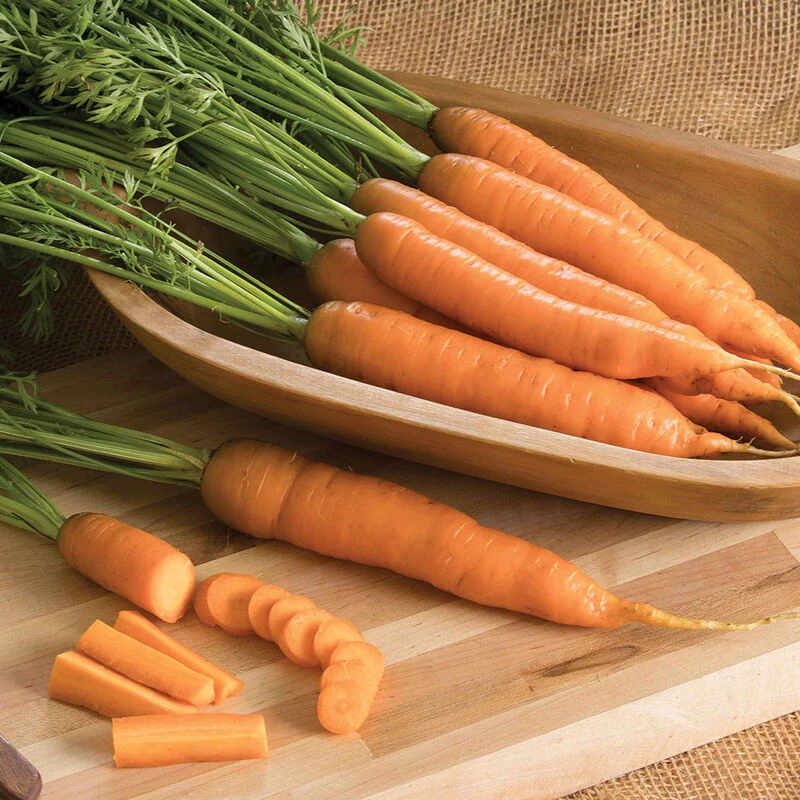Napoli Carrot Seeds – Premium Early Sweet Carrots for Home Growing