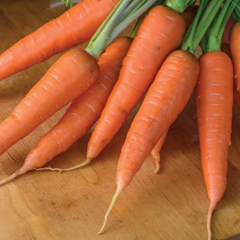 Yaya Carrot Seeds – Premium Quality, Sweet & Crisp Hybrid Carrots