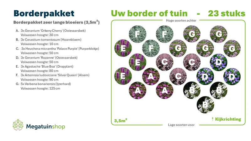Beet-Paket mit sehr langblühenden Pflanzen (3,5 m2)