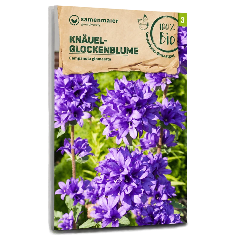 Bio-Knäuel-Glockenblume Wildblume