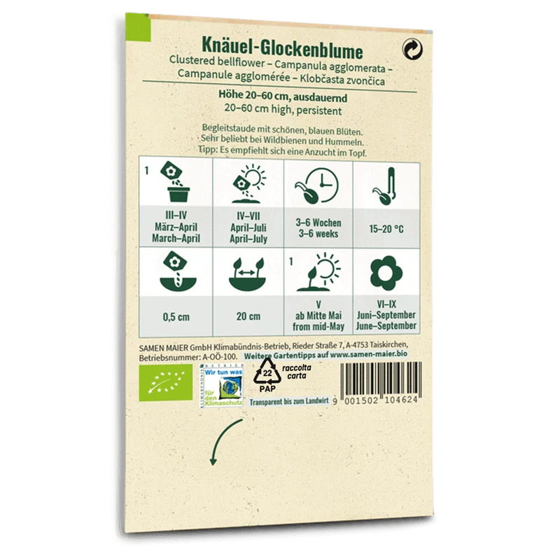 Bio-Knäuel-Glockenblume Wildblume