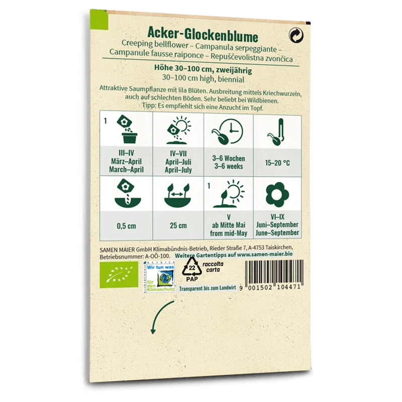 Bio-Acker-Glockenblume Wildblume